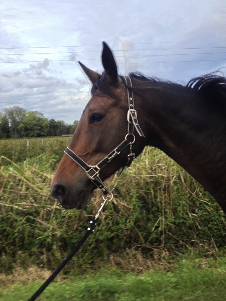 Photo de profil de fatinini