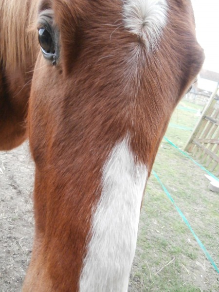 Photo de profil de fionitta