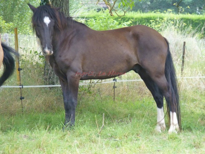 Photo de profil de fleure3