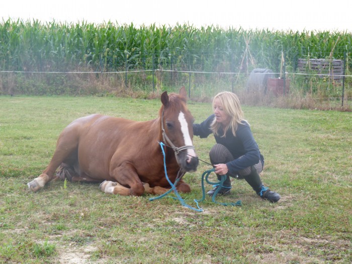 Photo de profil de flo64