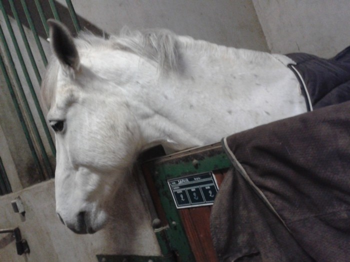 Photo de profil de flora1502