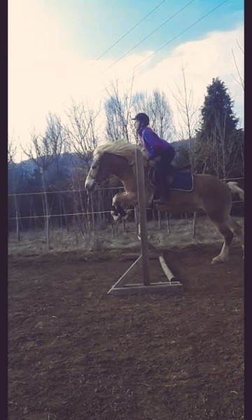 Photo de profil de floriane_marie