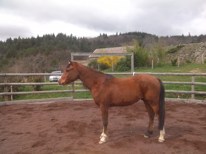 Photo de profil de giterias