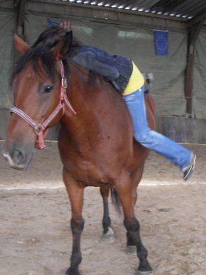 Photo de profil de gringo0803