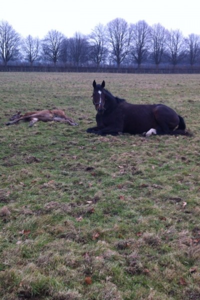 Photo de profil de hasnaouimael