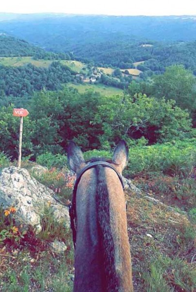 Photo de profil de heyan19