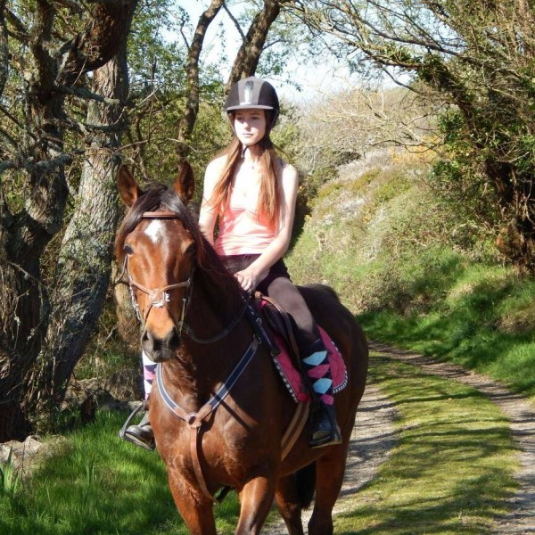 Photo de profil de horse_29