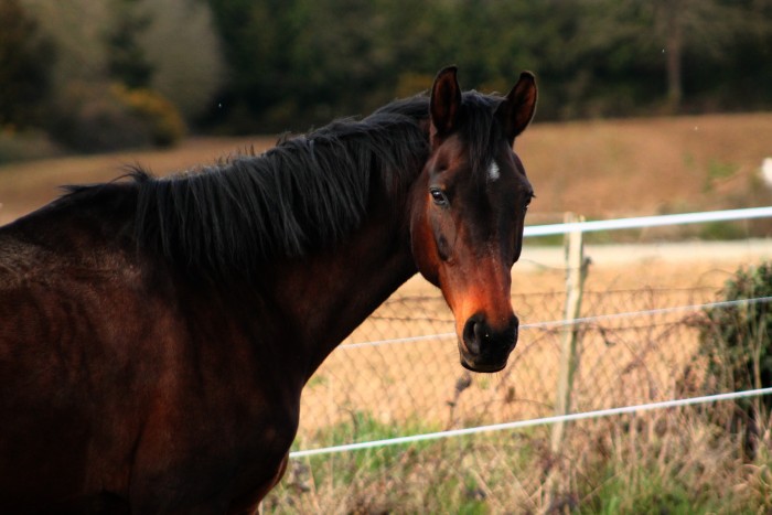Photo de profil de imperatrice98