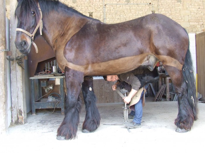 Photo de profil de jab16