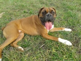 Photo de profil de jadederiez