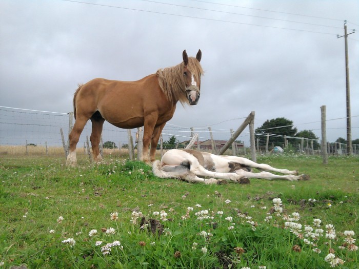 Photo de profil de javana44