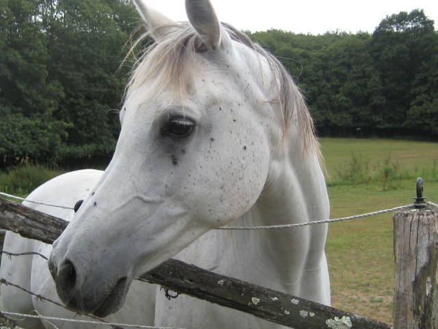 Photo de profil de jdanny72