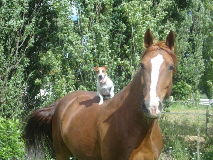 Photo de profil de jeanis