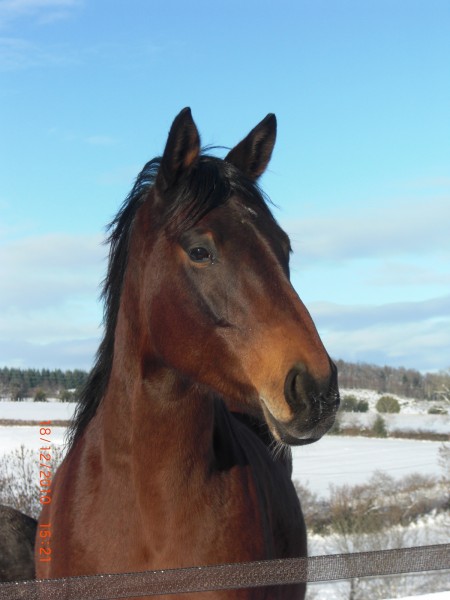 Photo de profil de jeanpierre1