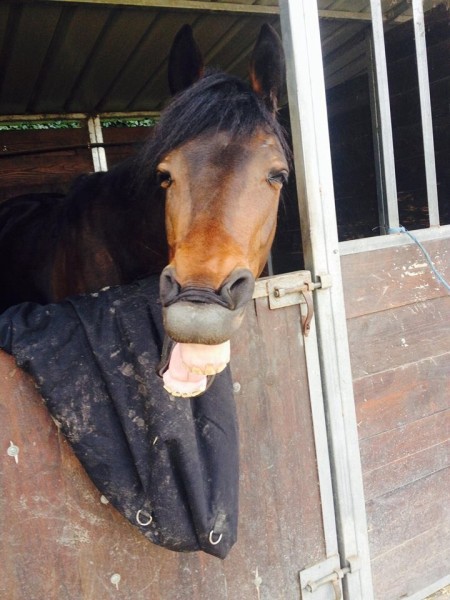 Photo de profil de jenniyfer