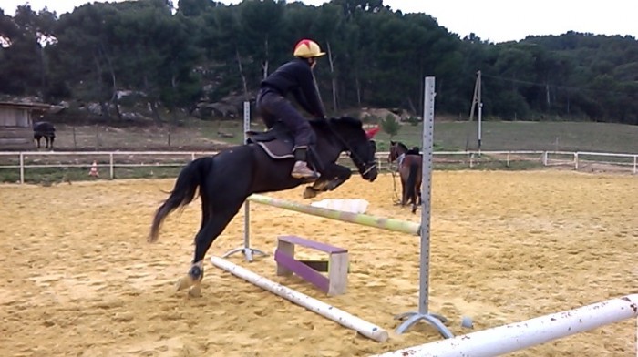 Photo de profil de jesscheval34