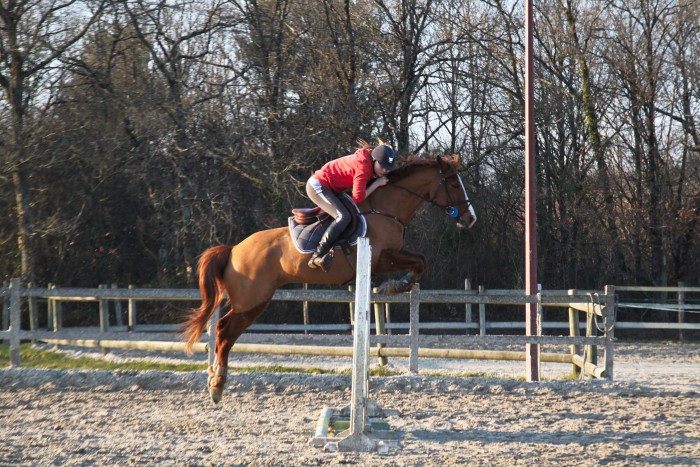 Photo de profil de justine.tdb