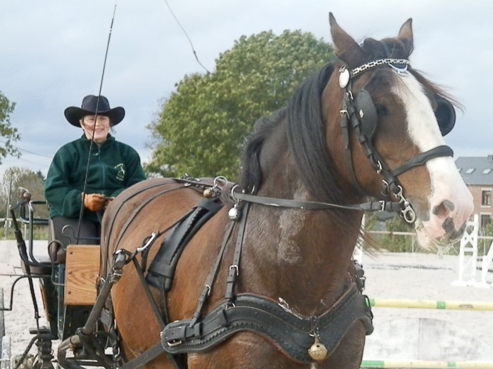 Photo de profil de kattia2006