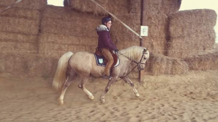 Photo de profil de kitanakit