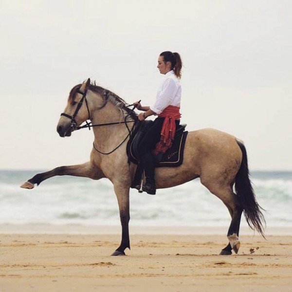 Photo de profil de kitsuandco