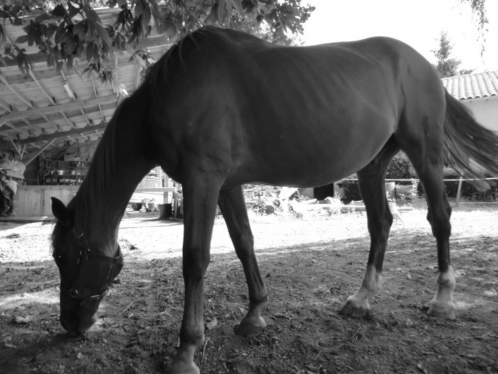 Photo de profil de kkouette24
