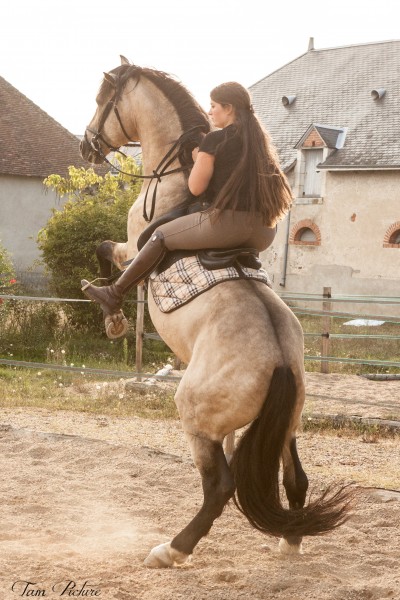 Photo de profil de koko58