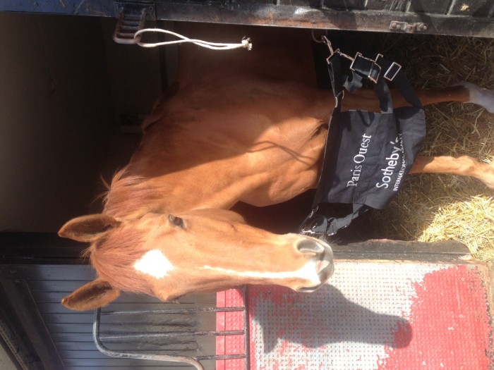 Photo de profil de koulette