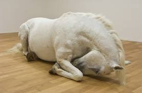 Photo de profil de ladalka01