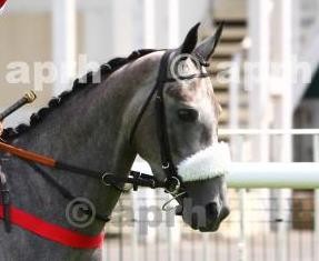 Photo de profil de laurecastel