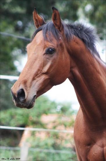 Photo de profil de laurie170