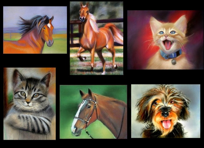 Photo de profil de laurinne