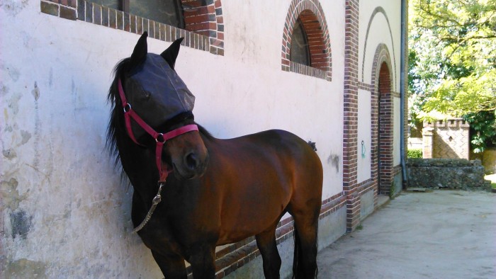 Photo de profil de lenaa26