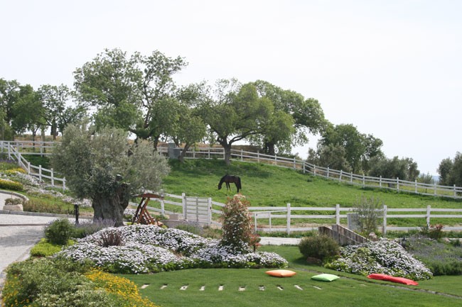 Photo de profil de lesea78