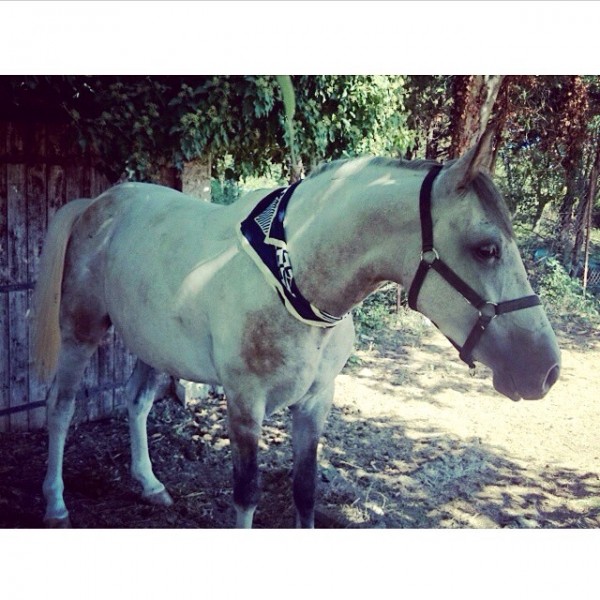 Photo de profil de lexy07