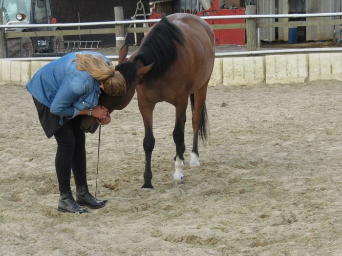 Photo de profil de lilynoo