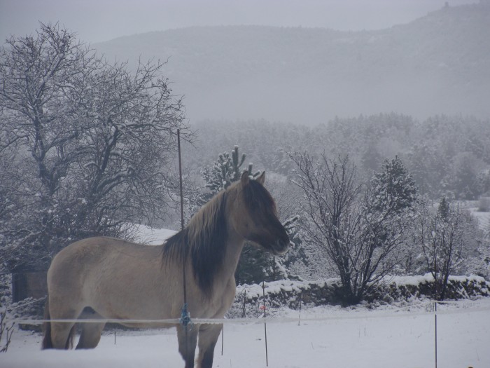 Photo de profil de logwen