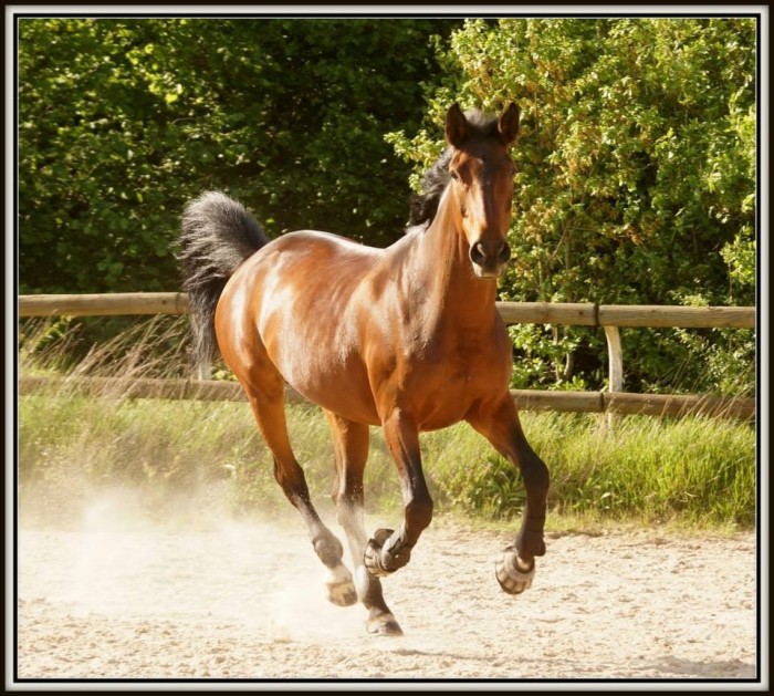 Photo de profil de lolotte91150