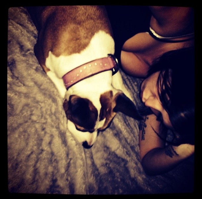 Photo de profil de lorafanel