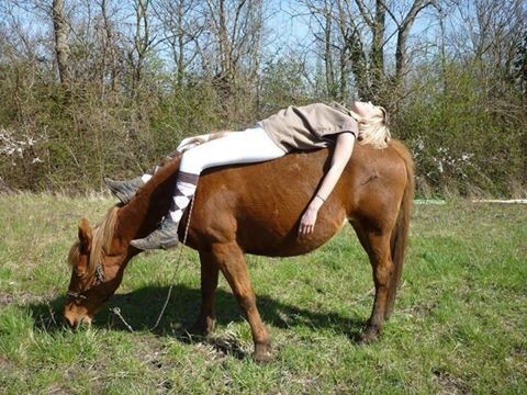 Photo de profil de loriouxcindy
