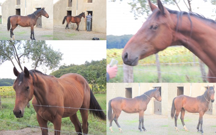 Photo de profil de loulou18340