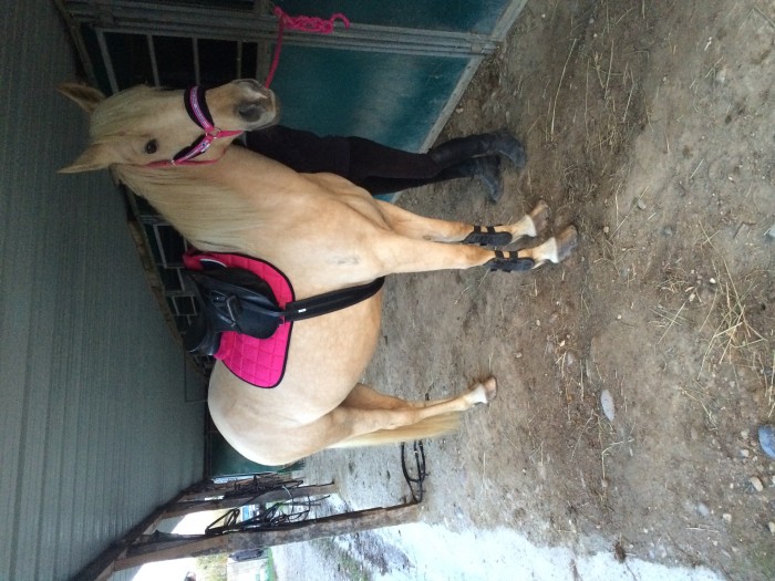 Photo de profil de louloutte1983