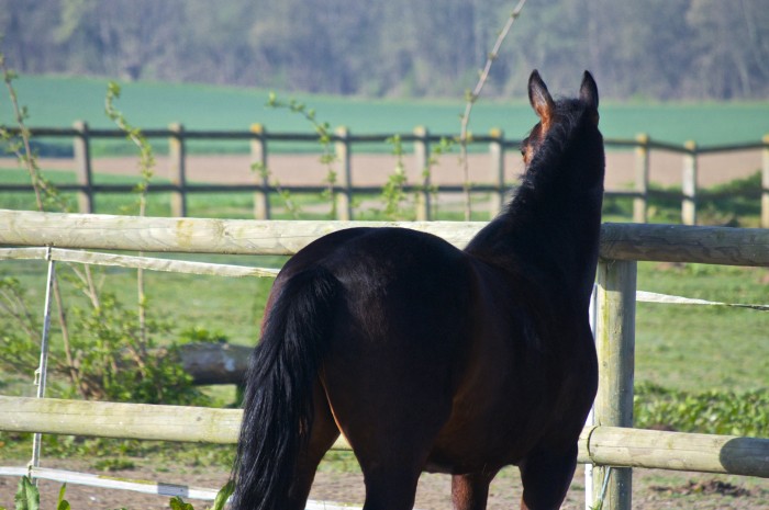 Photo de profil de louvebrune