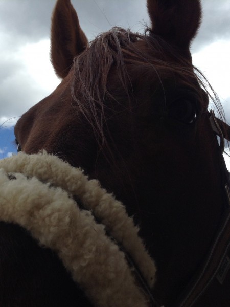 Photo de profil de lovefarceur