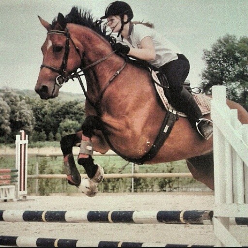 Photo de profil de lucilecarlier