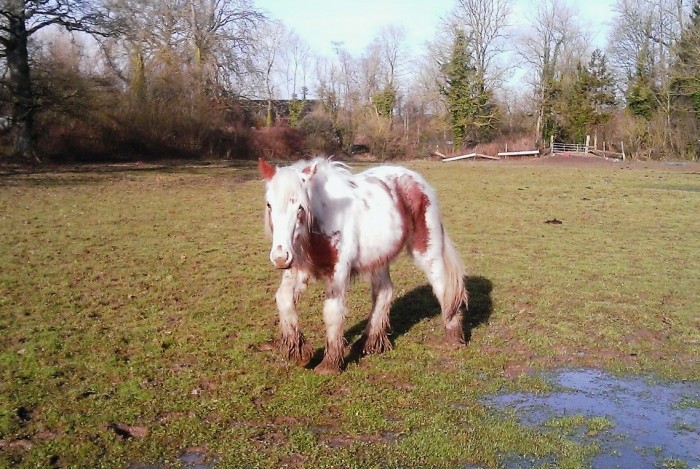 Photo de profil de luva