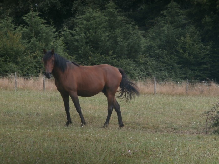 Photo de profil de magnon13