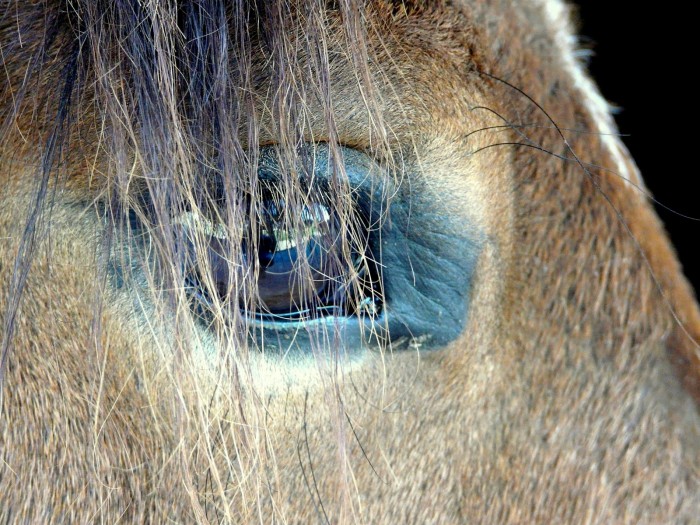 Photo de profil de maouprune