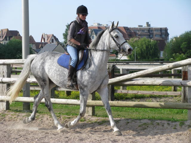 Photo de profil de marieultra