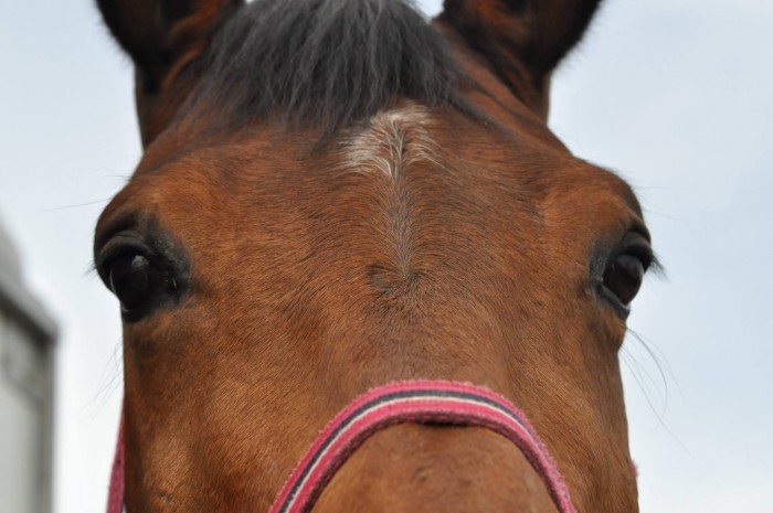 Photo de profil de marlrnt