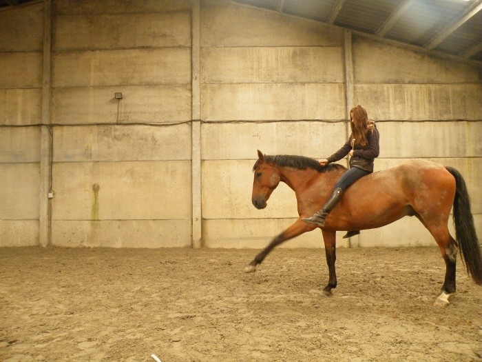 Photo de profil de mathquanta